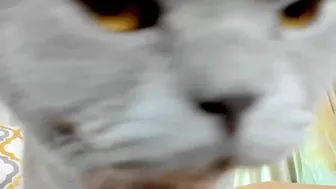 adysweet myfreecams 2022-july-08 01:25_1