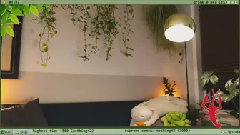 terraforest myfreecams 2022.04.09 02:58_6