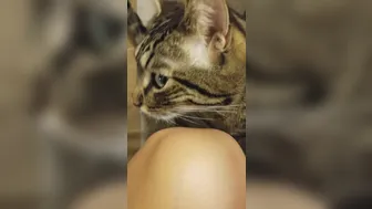 Ember Snow aka embersnow onlyfans the shrewd curvy masturbates pussy with a phallus