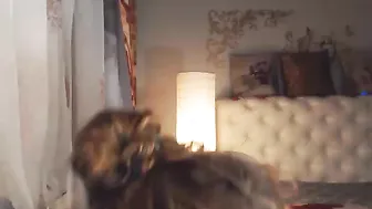 ladadance  webcam show 2017 10 of October