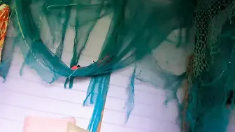 tropicgasm  fuck show 2017 2 of February