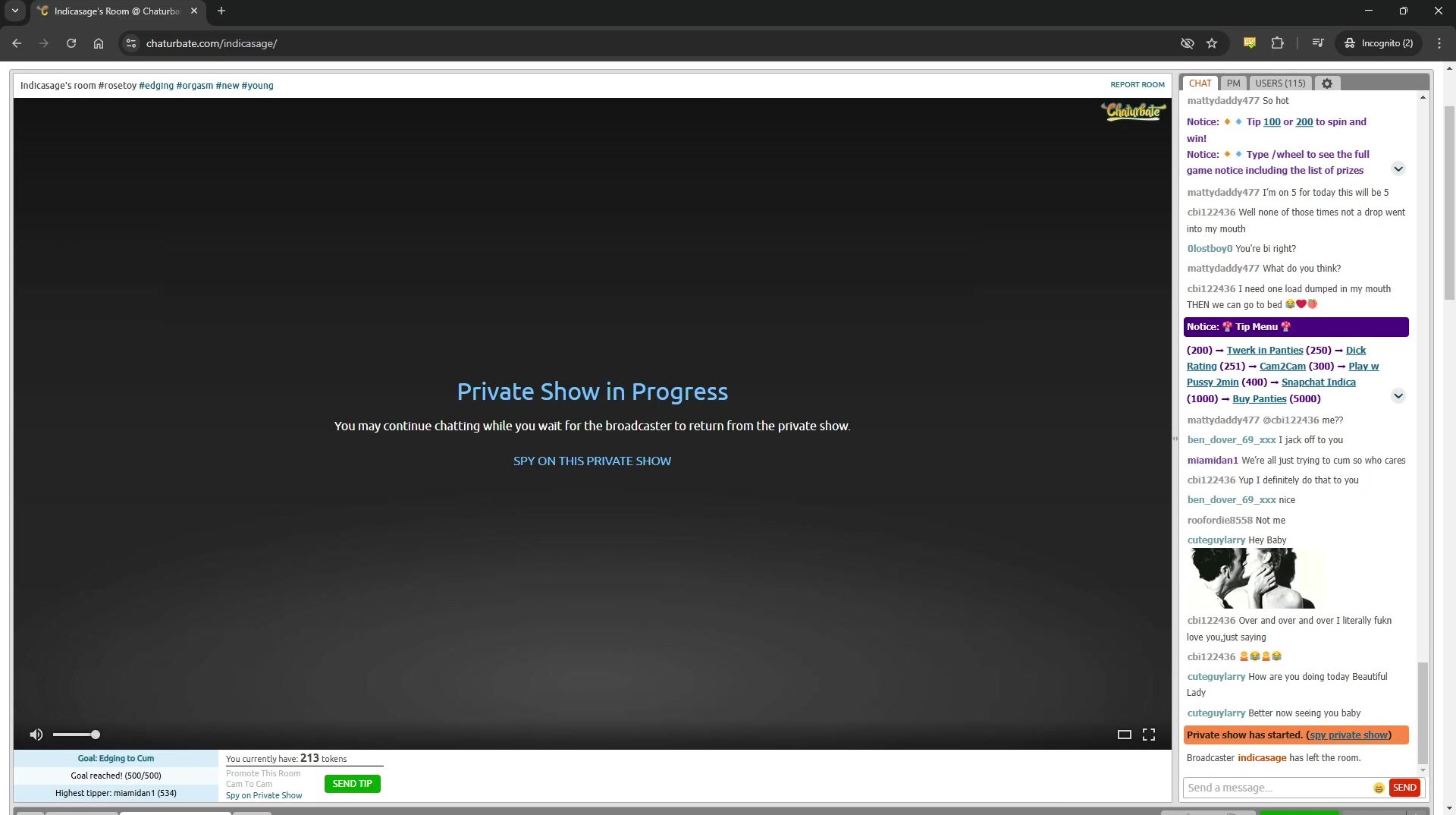 Indicasage private spy 2.15.25
